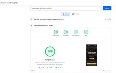PageSpeed Insights 100/100